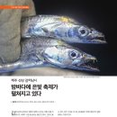 도서출판월간제주사랑