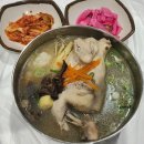 금산-43 | [충남 여행] 금산 삼계탕축제 물놀이장 방문후기