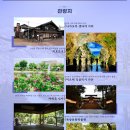 신세계여행사 이미지