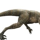 벨로시랩터 이미지