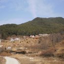 흑송농장 이미지