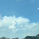 돌싱커피호프 | ㅇ연진로그 : 8월 일상