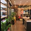 카페안경 이미지