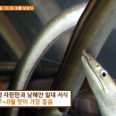 군령포하모자연산횟집