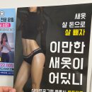핏 3.3 이미지