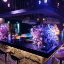 강남-150 이미지