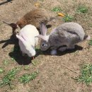 인우목장 이미지