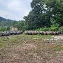 식송농장 이미지