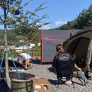 플로라 캠프 이미지