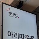 아리따움월배