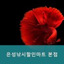 은성할인마트