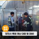 그늘막74 이미지