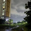 웅천북4로 이미지