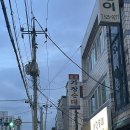 원조고향막창 | 대전 로컬맛집 용문역 원조가장순대, 막창순대 처음 먹어본 후기