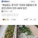 "배설장소 못가려" 아파트 9층에서 애완견 2마리 던진 40대 입건 이미지