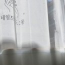 네일드몽 - 오산시 문시로 183-4 | 네일드몽