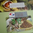 정안농장 이미지