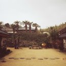 술의식물원