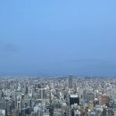 부용산공원2(옥외) | 일본 나고야 여행, 노잼인듯 유잼이었던 3박 4일 리얼 후기 (1) - 히쯔마부시 ,지브리파크