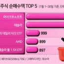 개미상회 이미지