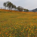 남신도회 가을 나들이후기2[20251026] 이미지