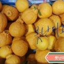 준희네농장 이미지