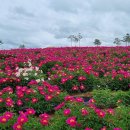 의성조문국사적지 이미지