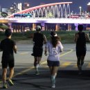 운동체육공원1,2,3 이미지