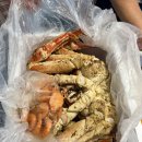 대풍수산 | 강서수산시장 대풍수산 킹크랩 포장 내돈내산 후기