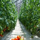 오길농장 이미지