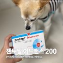 로얄캐닌코리아(유) | 베토퀴놀 젠토닐 어드밴스 200 | 강아지 간수치 관리와 급여방법 내돈내산 후기