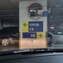 숲칼프 문정법조점에서 하라힐즈 받은 솔직후기