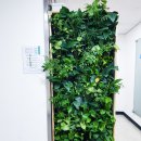 안양시청 앞 이미지