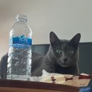 대학로2L 이미지