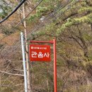 댕플 | 청주 관음사 댕플스테이 후기 애견동반 강아지 템플스테이 예약방법 일정 총정리