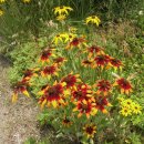 합천군산림조합 이미지