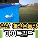 그루밍 모먼트 | 가성비 전체 대관 애견운동장 서울 근교 30분 '마이독필드'