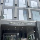 신라스테이 광화문 호텔 후기 | 서울 중심 호텔 추천
