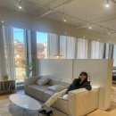 [무브먼트랩/잭슨카멜레온] 타탄쇼파 벨르(블랙) 계약 후기
