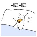 키티한식부페 네이버블로그