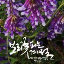 캘리그라피 이미지