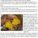 국립식량과학원 바이오에너지작물센터