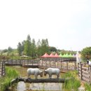 (주)안성목장 이미지