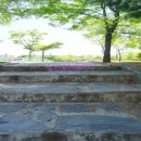 다니엘소아청소년과의원 이미지