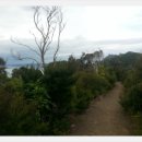 2018년 4월 21일 토요일 당일산행과 박산행 Peach cove track- Te Whara track -Busby heade 이미지