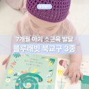 7개월 아기 소근육 발달, 손가락 힘 키우는 블루래빗 북교구 3종 활용