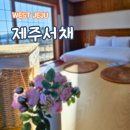 강타펜션 | 산방산 근처 숙소 안덕면 펜션 제주서채 작은채 후기