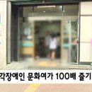 시각문화 이미지