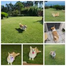 더칠월펜션 이미지