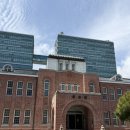 동아대반점 | 부산 중구 노포 부산3대중식집 동화반점 메뉴판 주말 점심 방문후기 추천메뉴 깐풍기 볶음밥 유니짜장은...